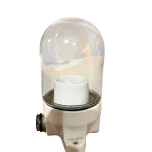 A-01225 Glaskolbenlampe